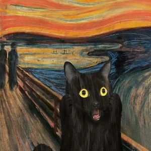 Meet your Posher, Patti